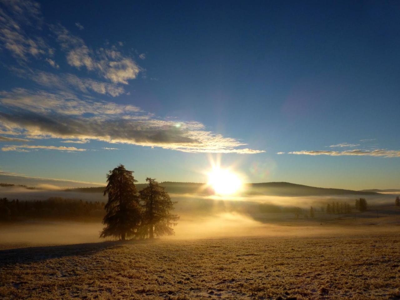 U Votapku Lägenhet Nove Hute Exteriör bild